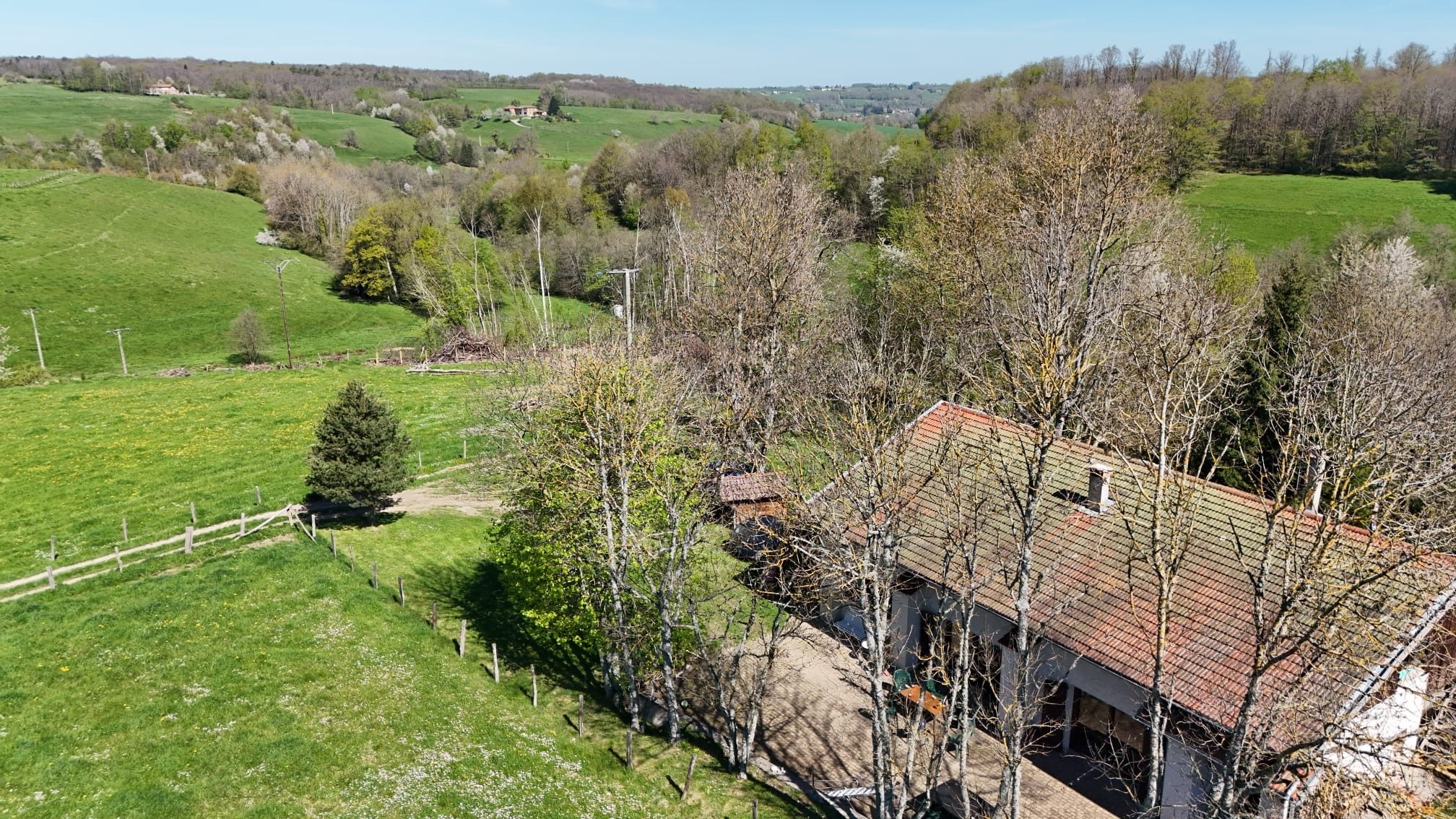 maison dans la forêt